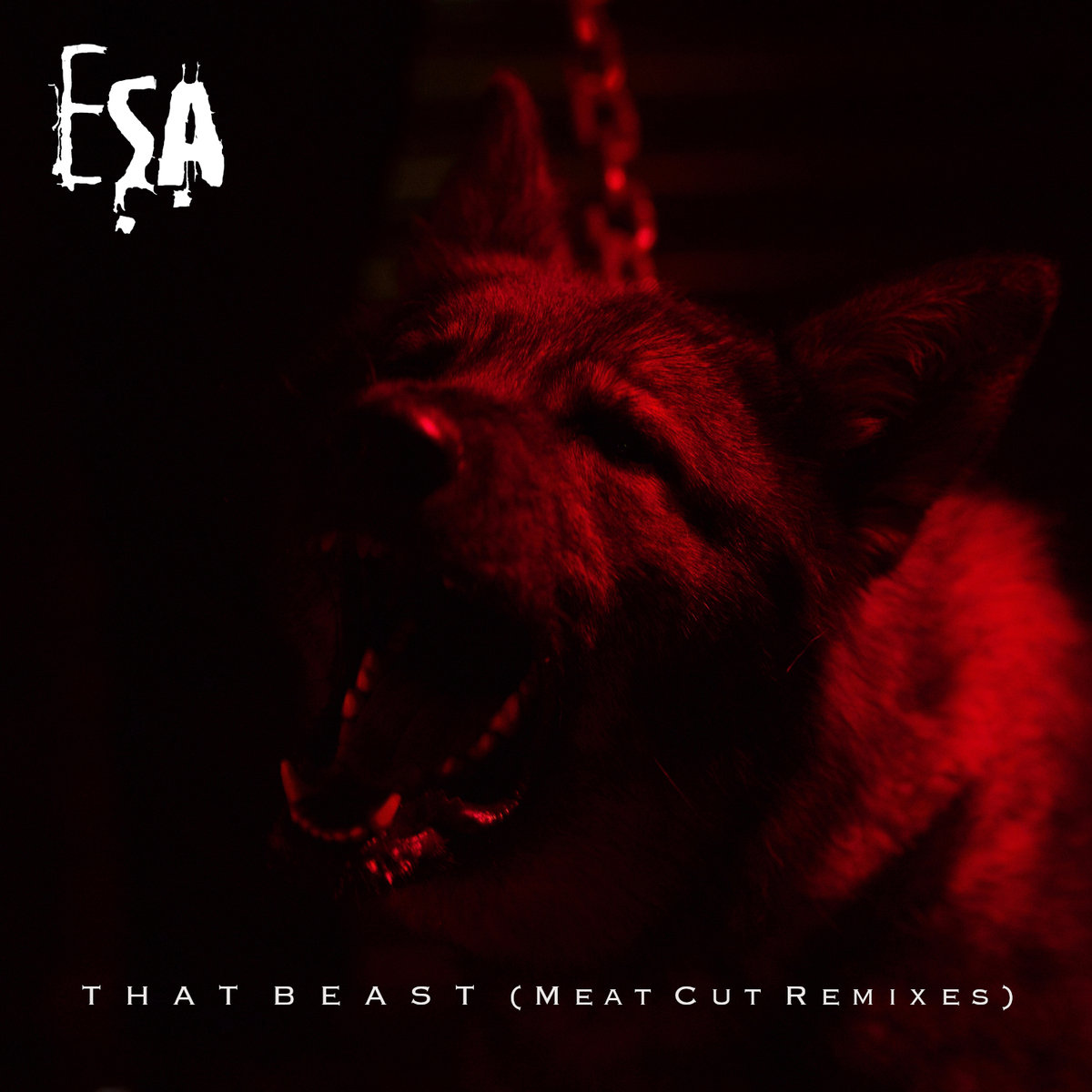 ESA - Consumption (ESA Vs This Morm Omina)